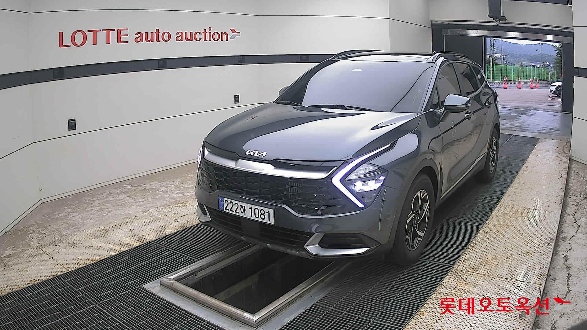 2023 - kia sportage