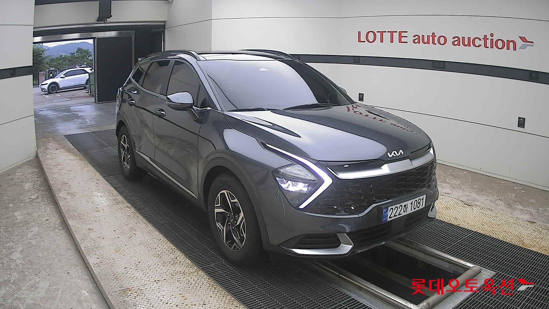 2023 - kia sportage