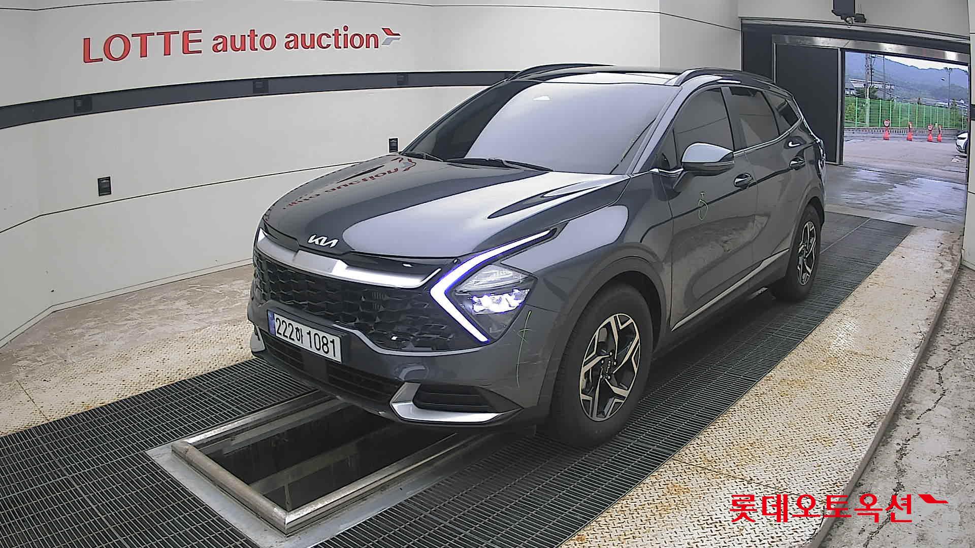 2023 - kia sportage