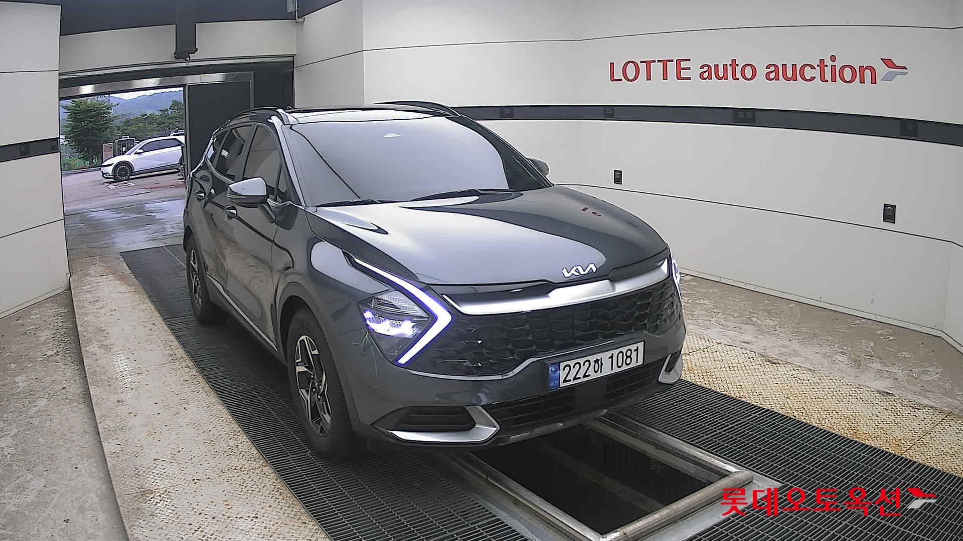 2023 - kia sportage
