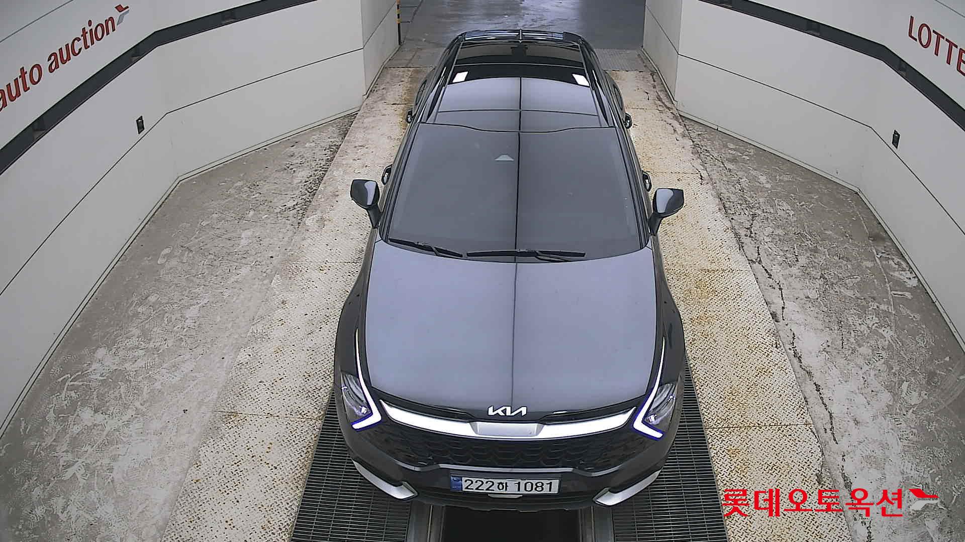 2023 - kia sportage