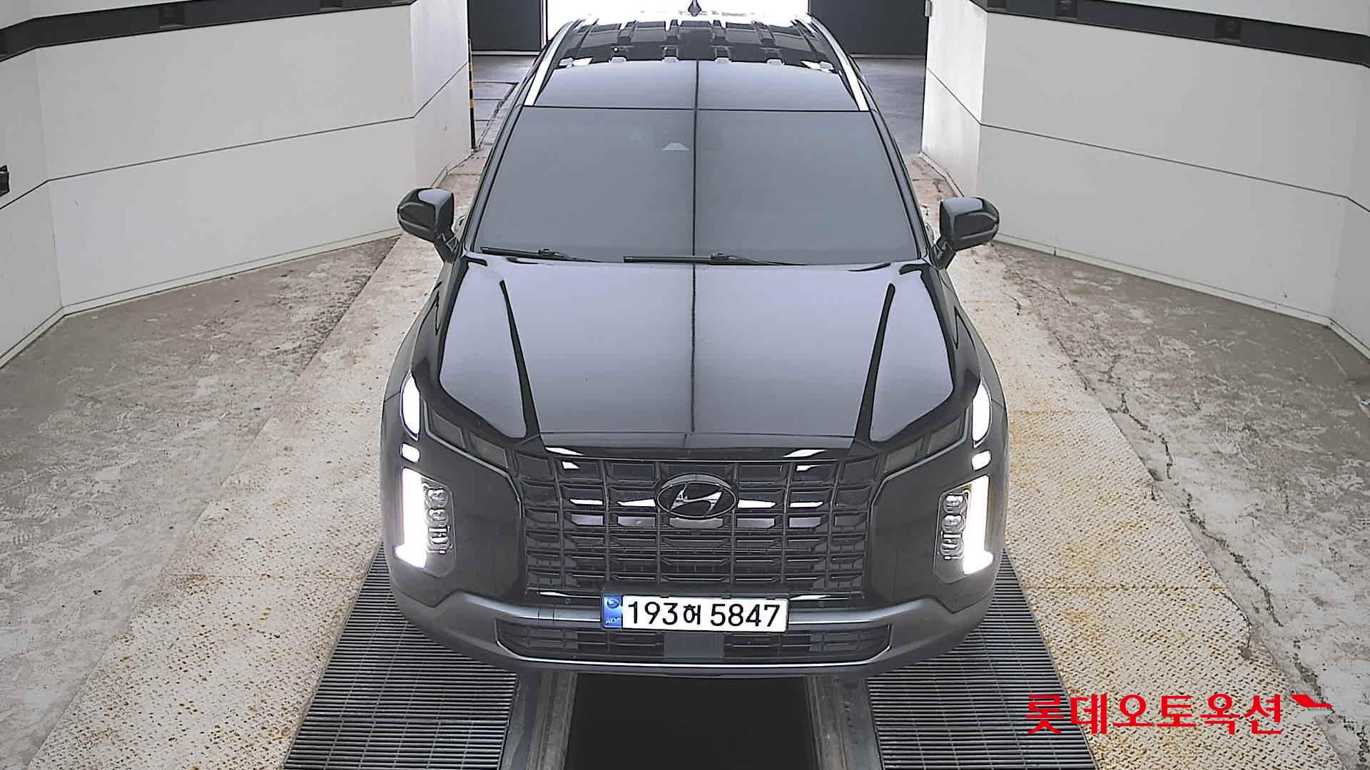 PALISADE (G)