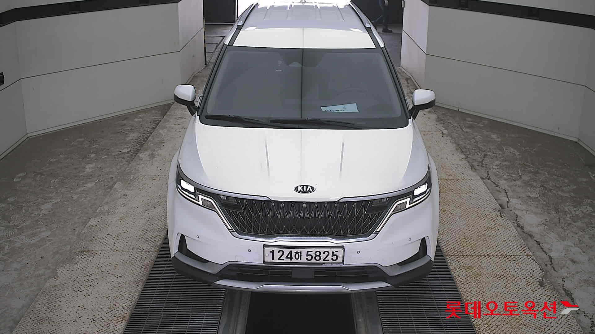 CARNIVAL KA4 (D)