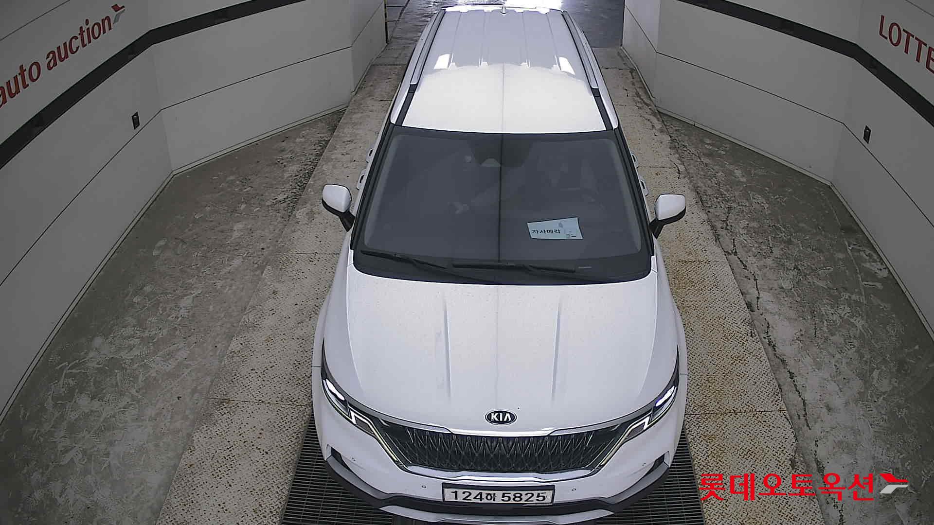 2021 - kia carnival