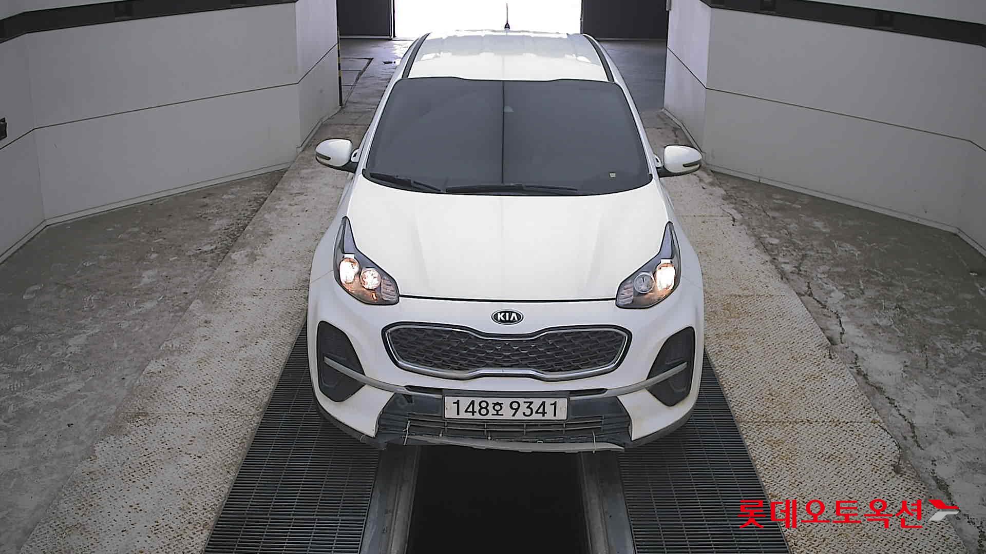 THE BOLD SPORTAGE (D) 트렌디