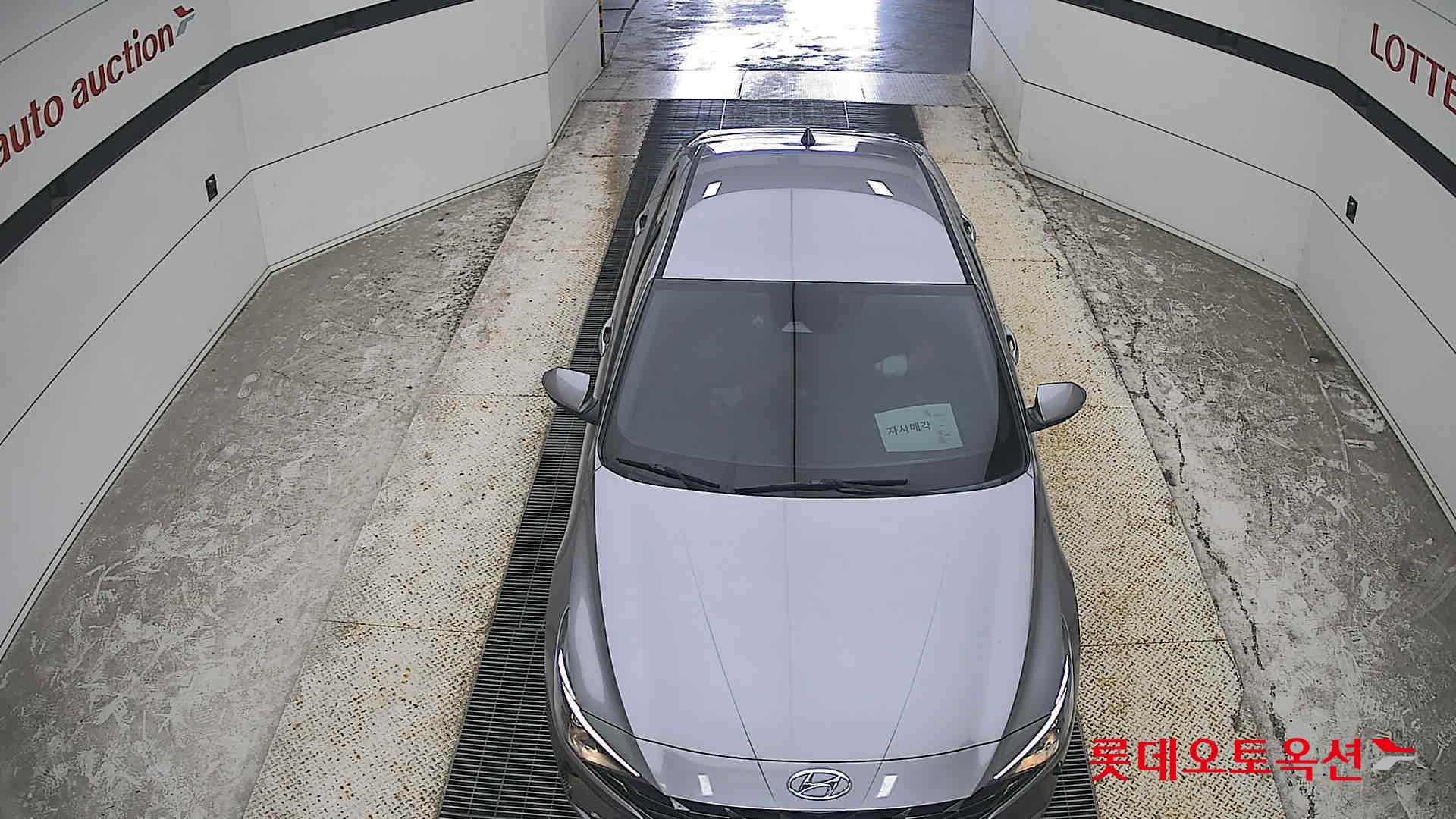 2021 - hyundai avante