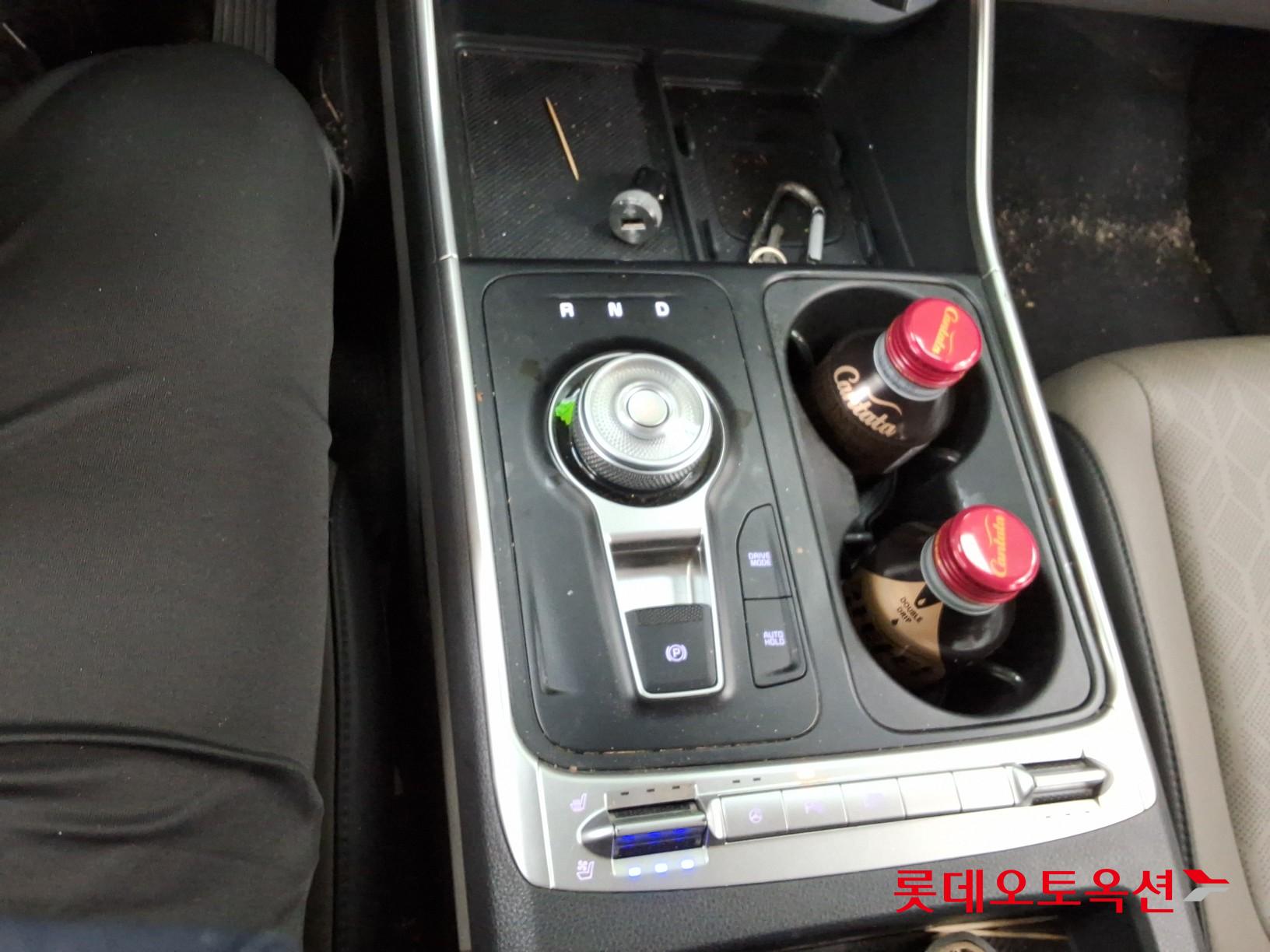 2024 - kia carnival