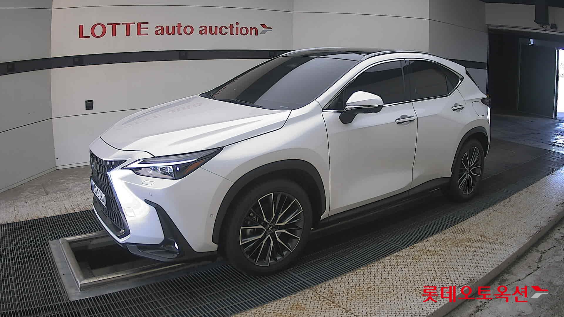 لكزس Nx350H 2025 فاخر