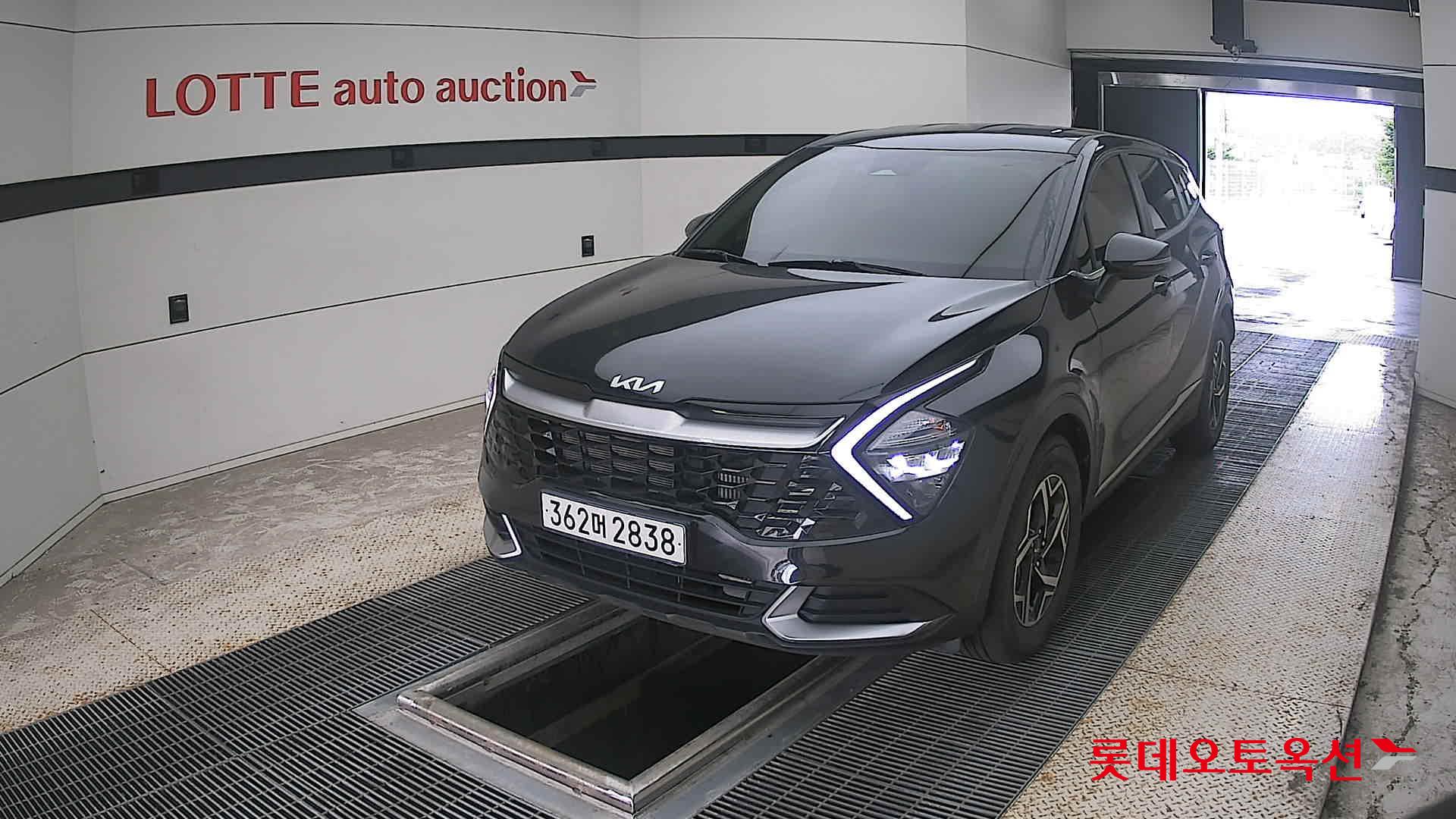 2023 - kia sportage