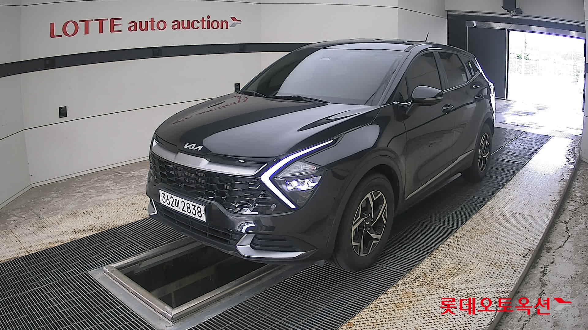 2023 - kia sportage