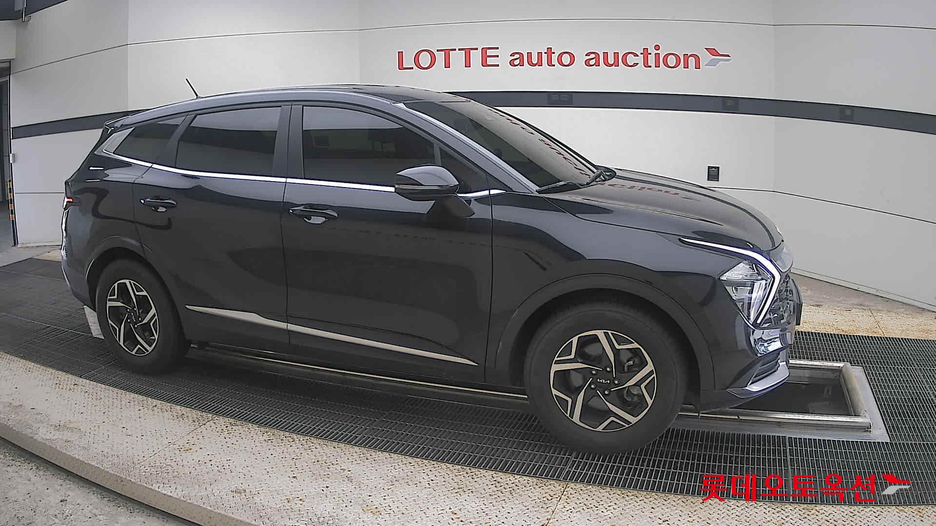 2023 - kia sportage