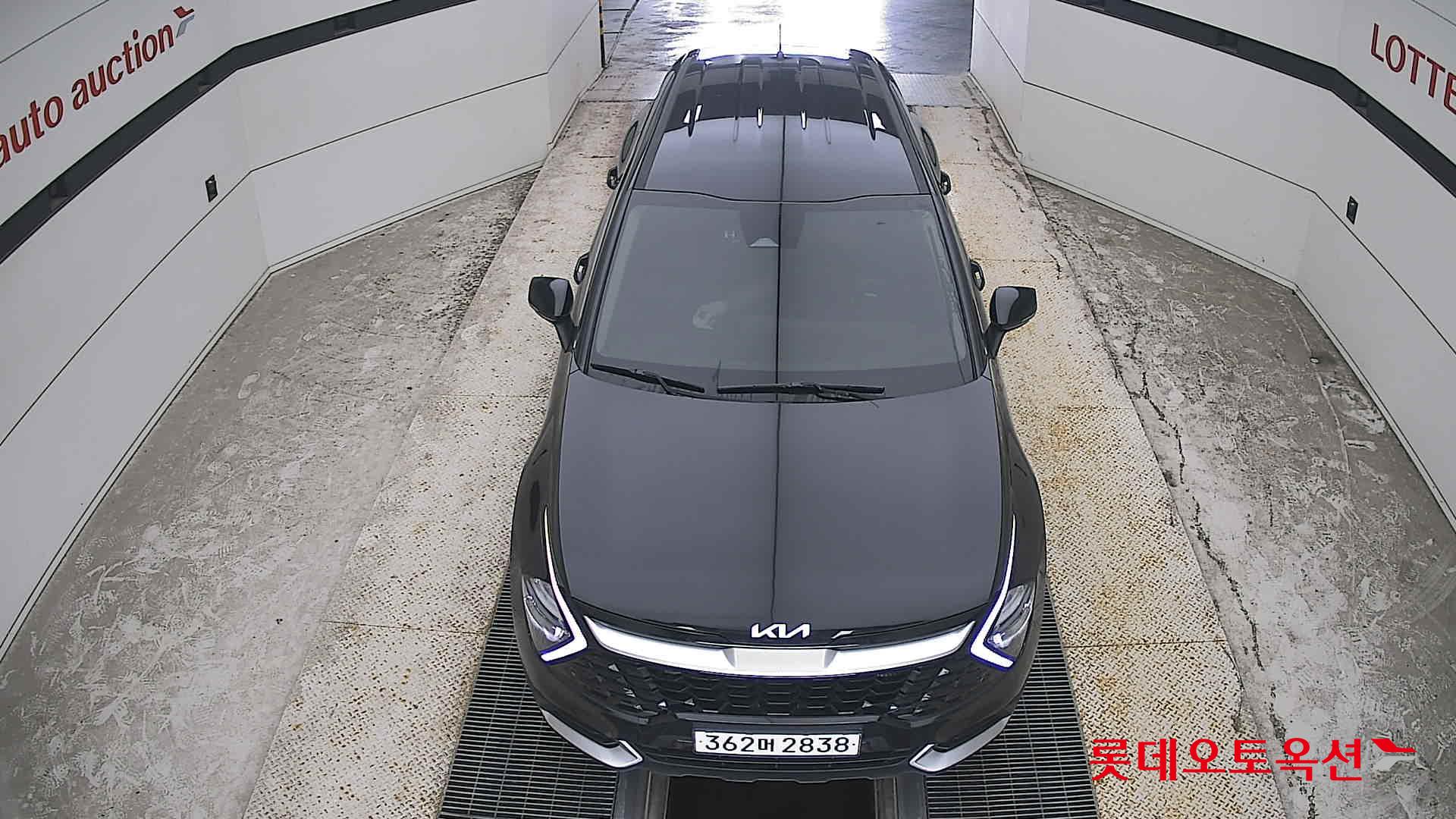 2023 - kia sportage