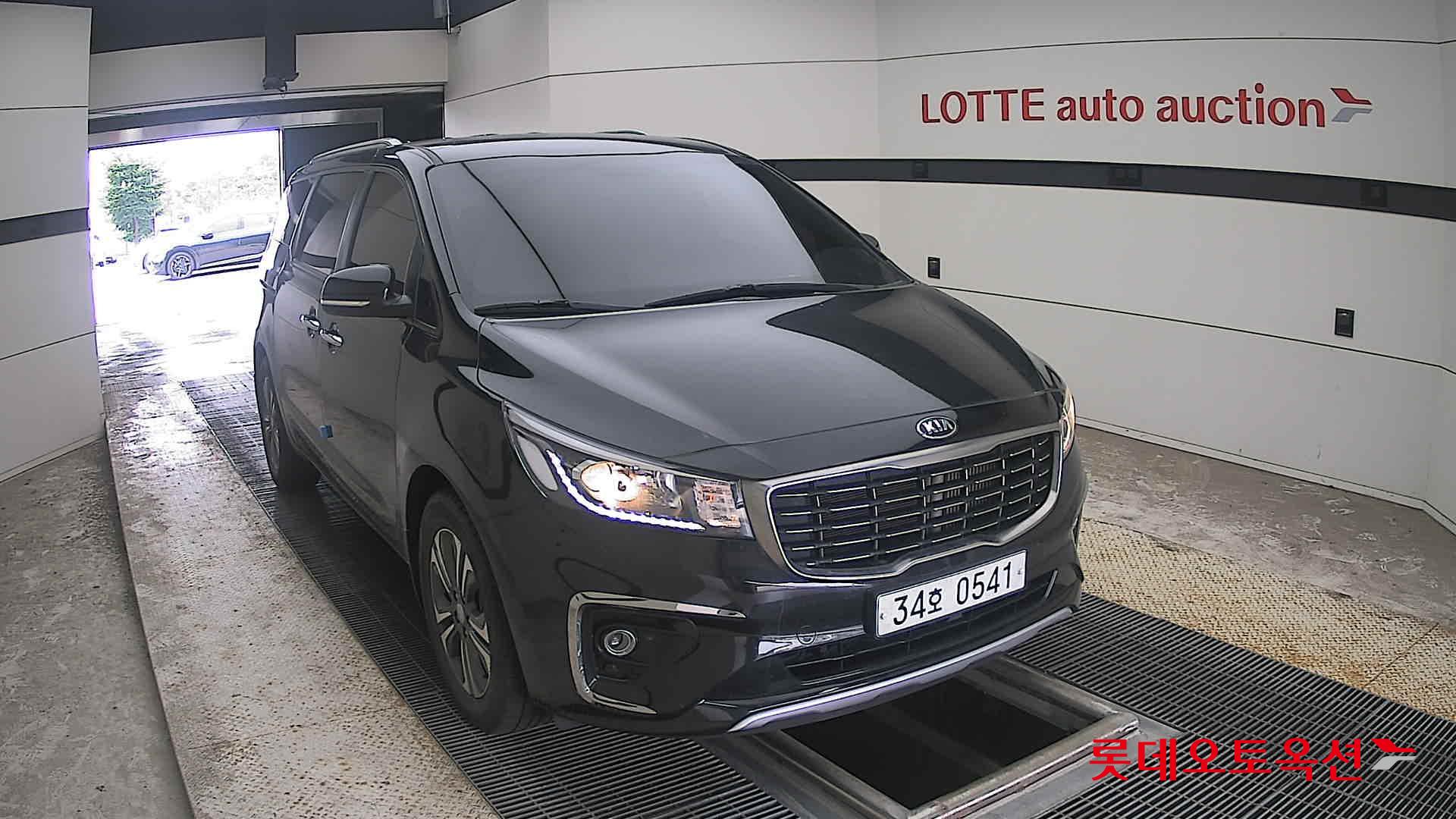 2019 - kia carnival