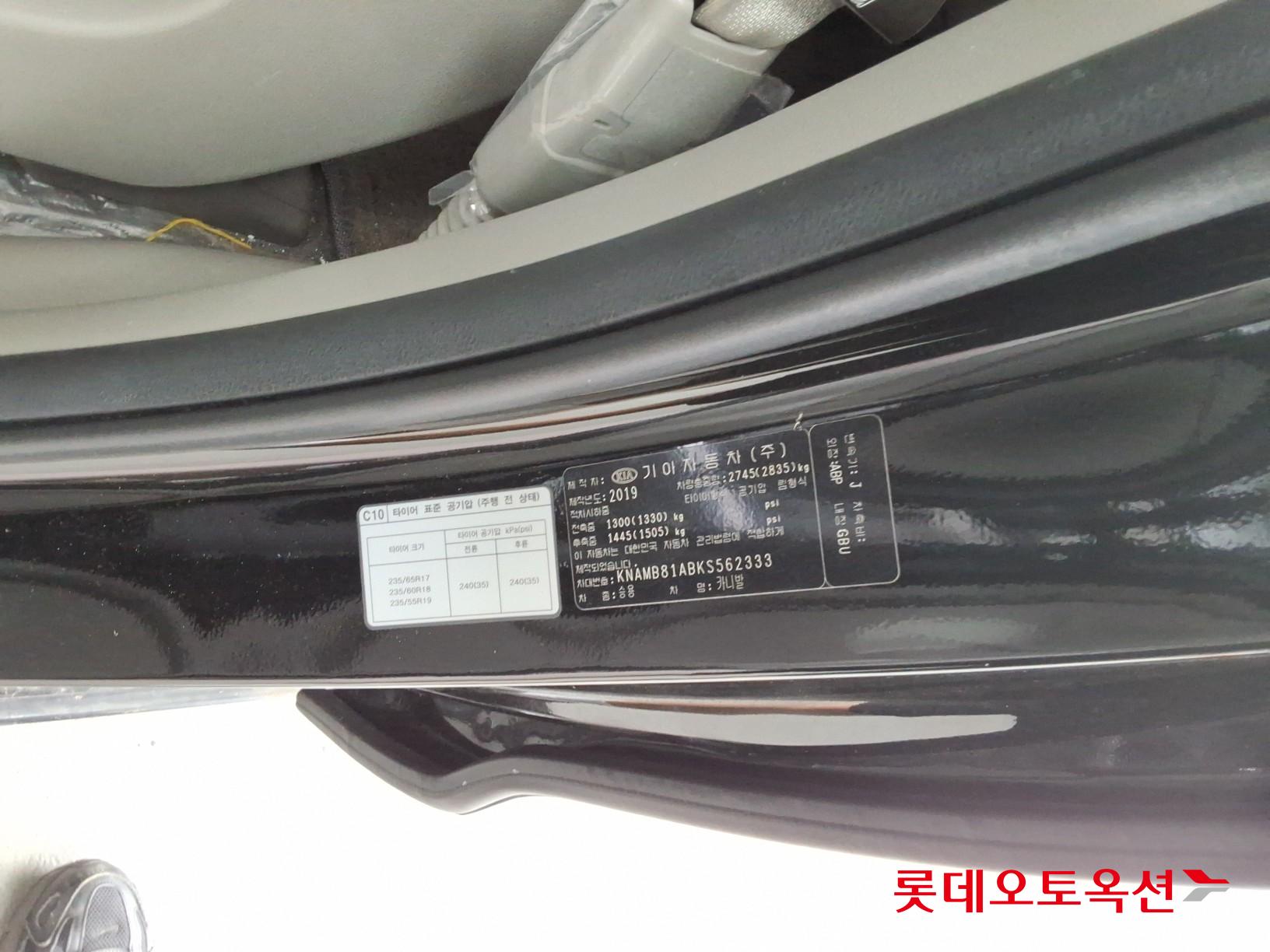 2019 - kia carnival
