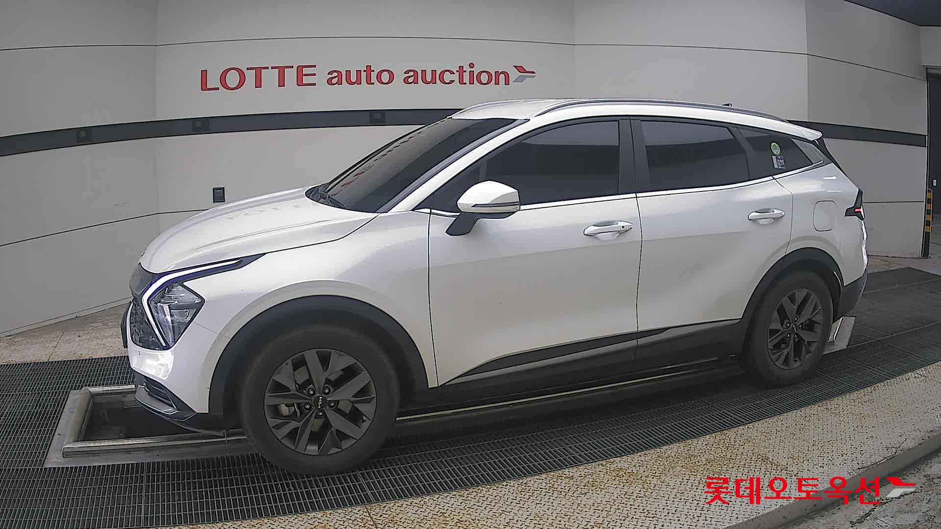 2023 - kia sportage