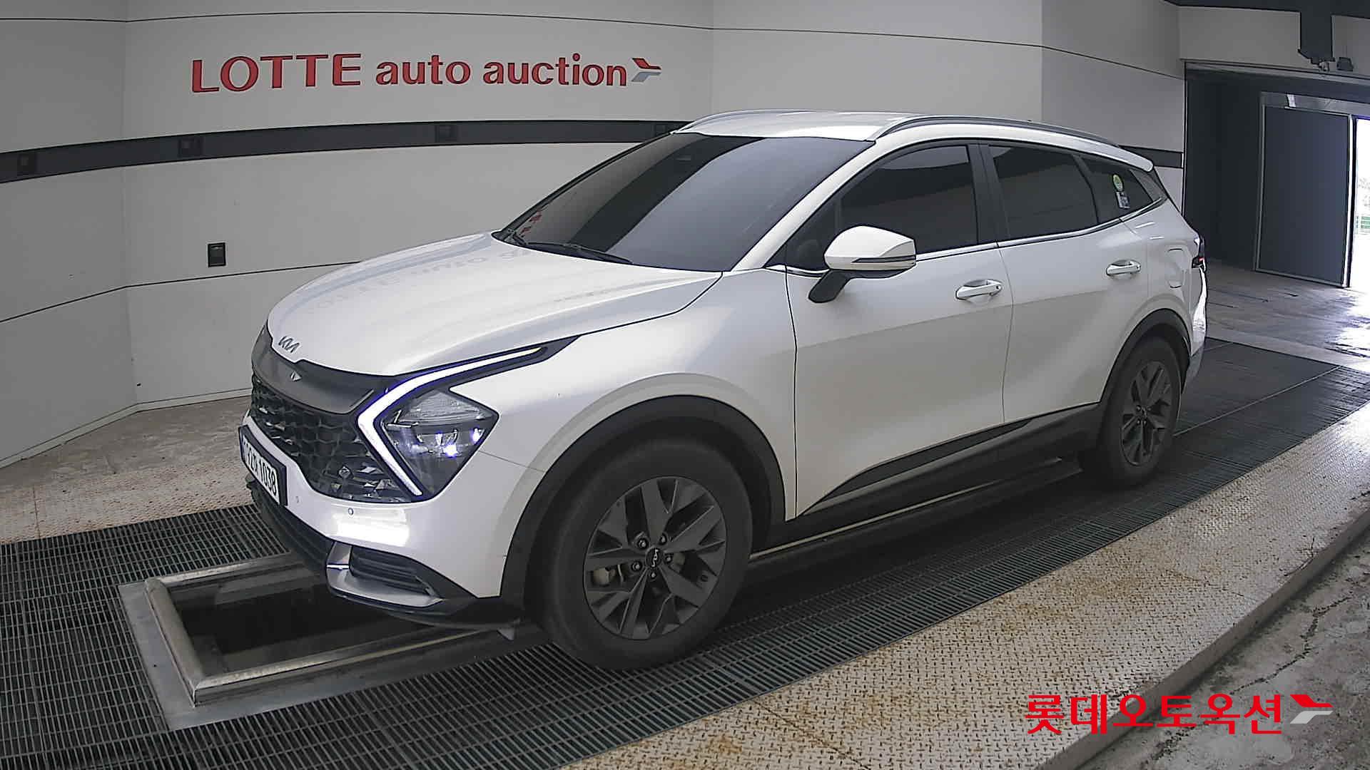 2023 - kia sportage