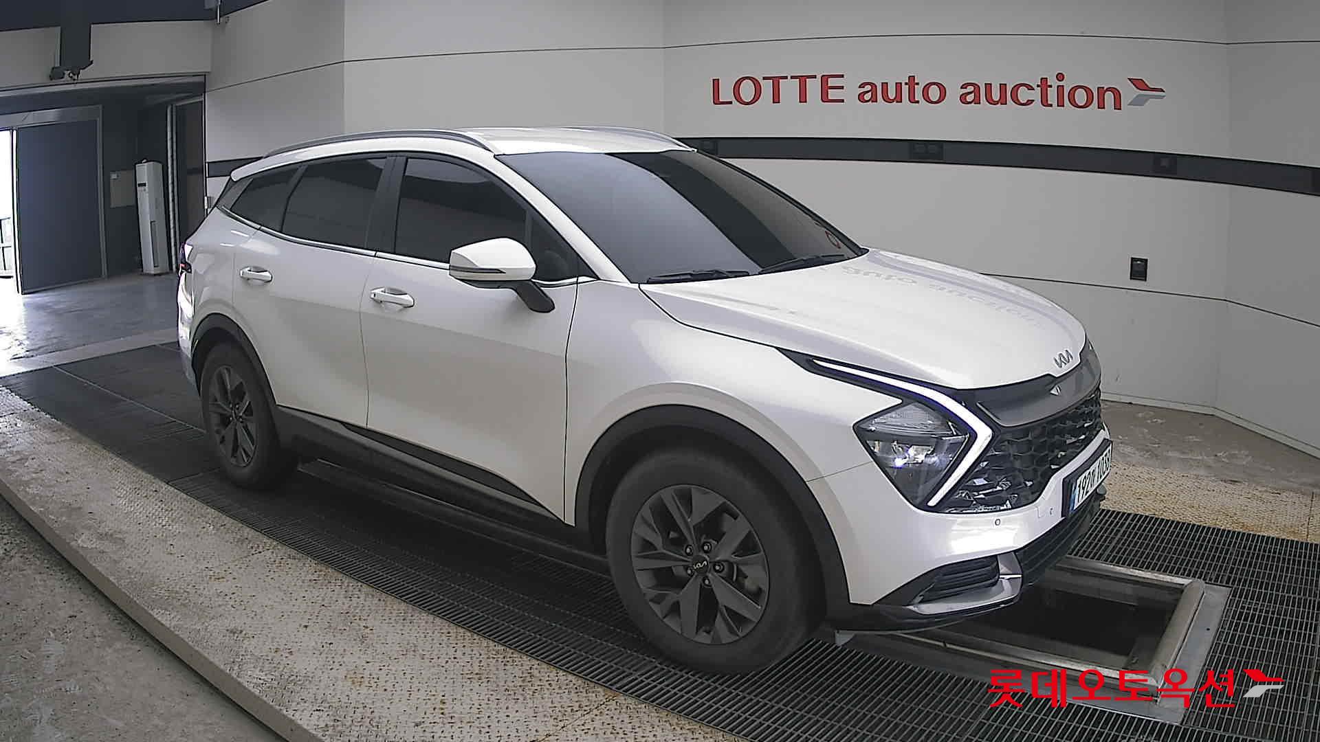 2023 - kia sportage