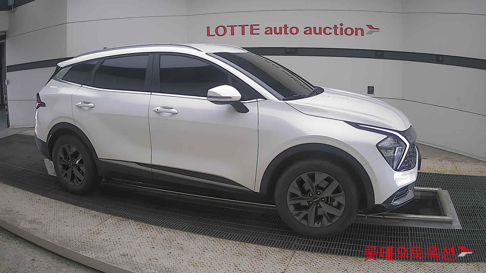 2023 - kia sportage