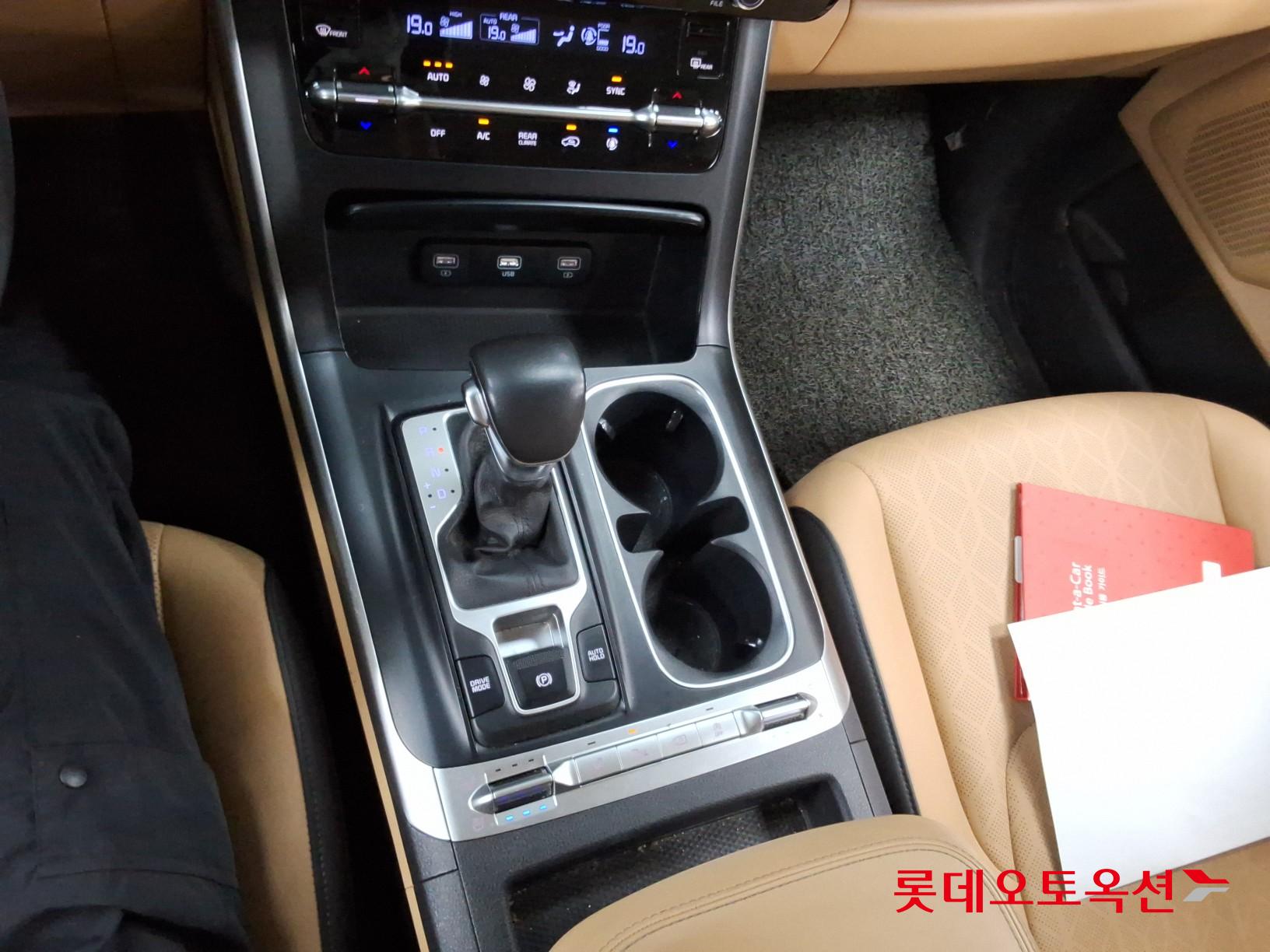 2021 - kia carnival