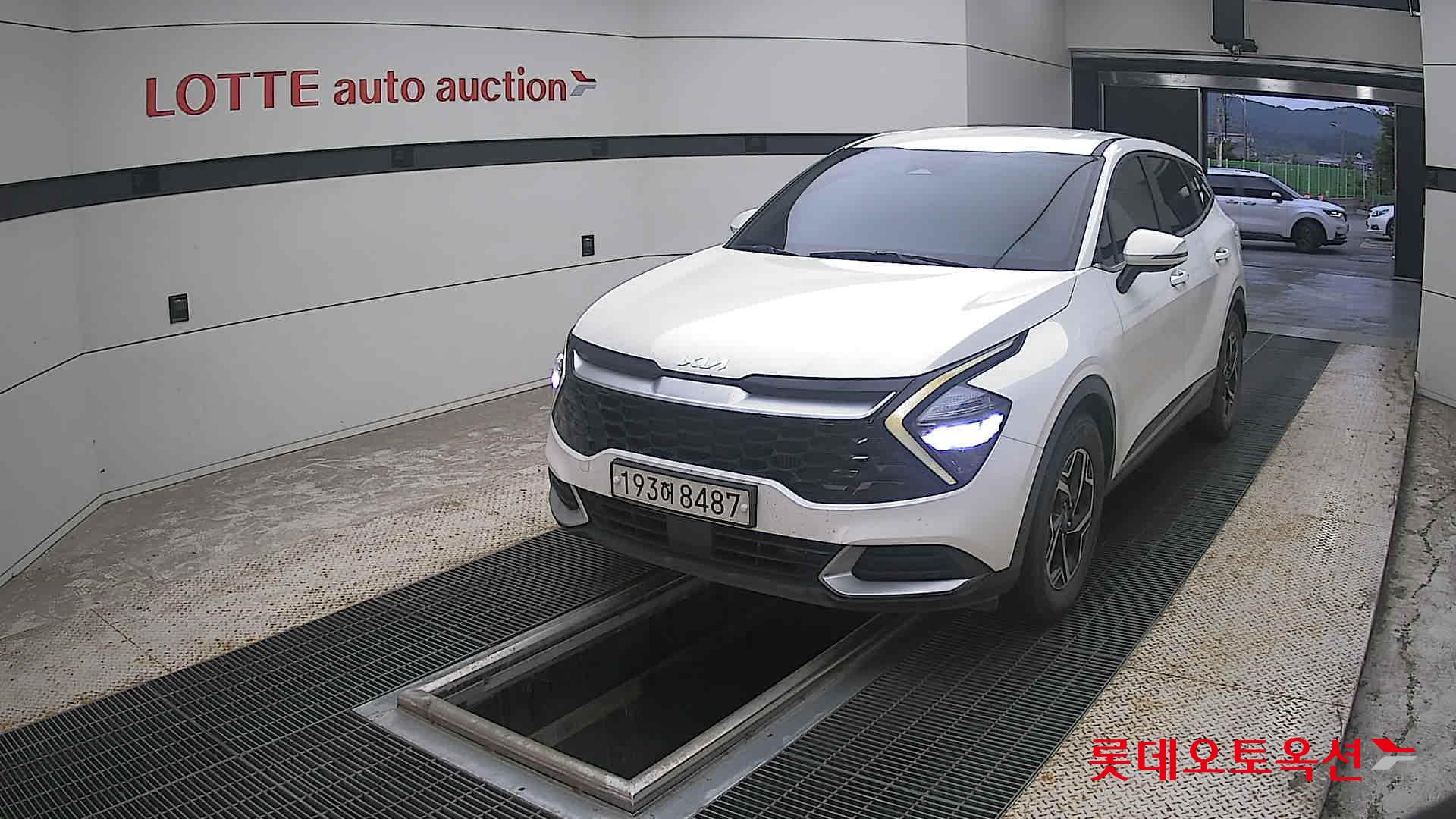 2023 - kia sportage