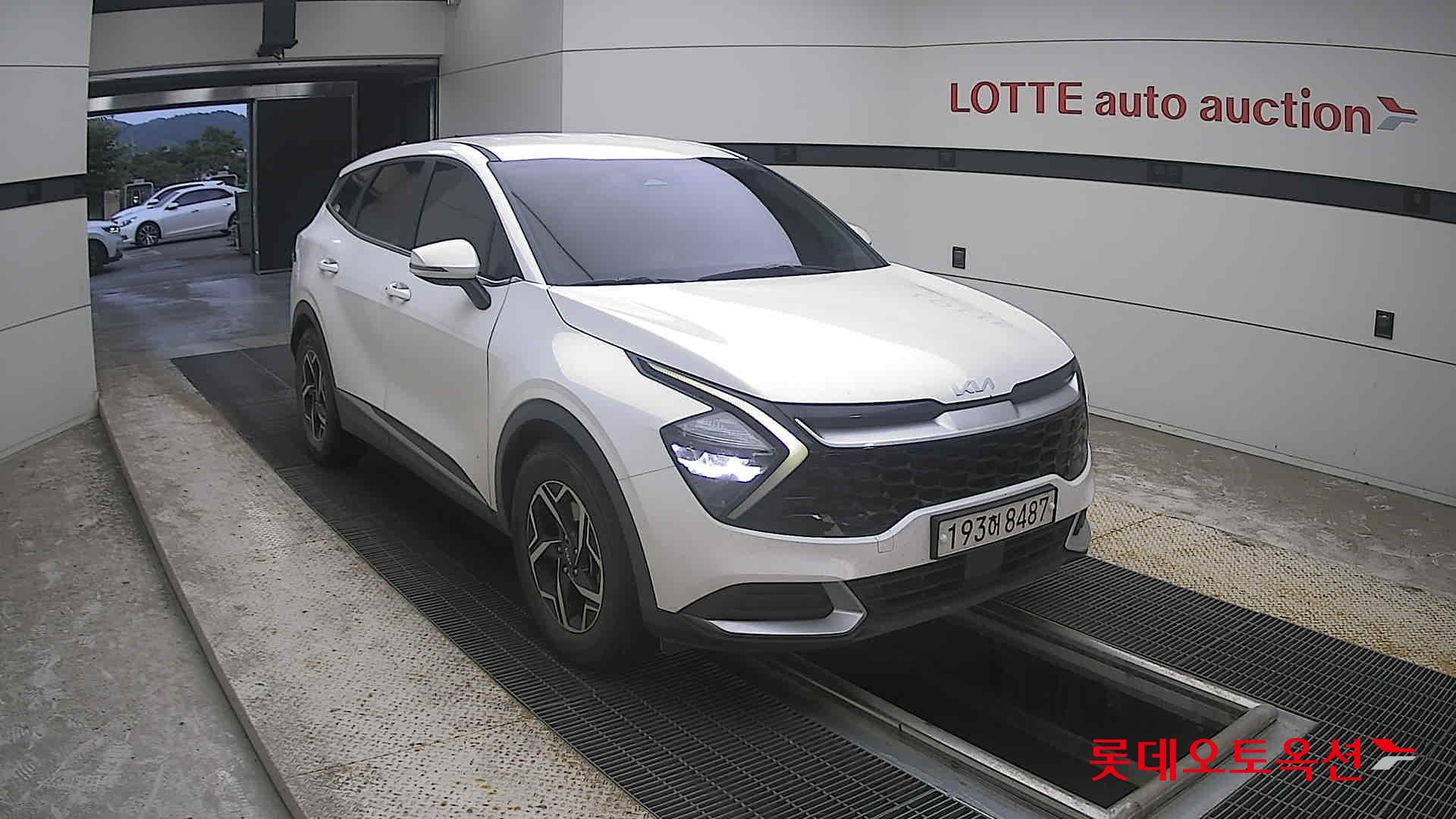 2023 - kia sportage