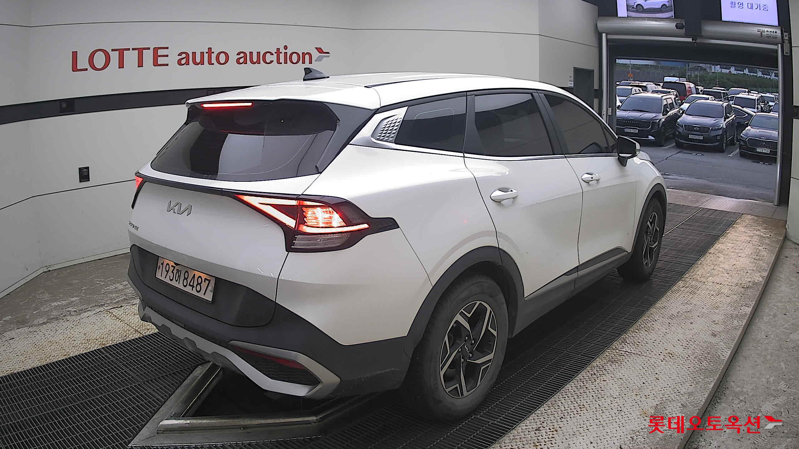 2023 - kia sportage