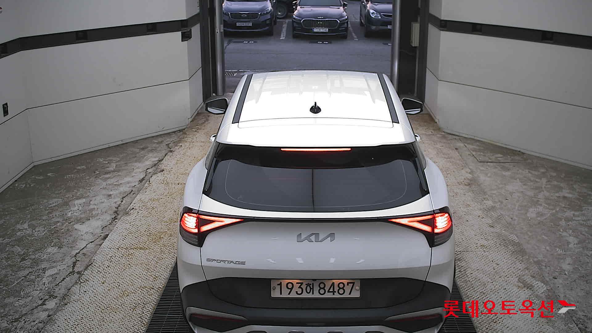 2023 - kia sportage