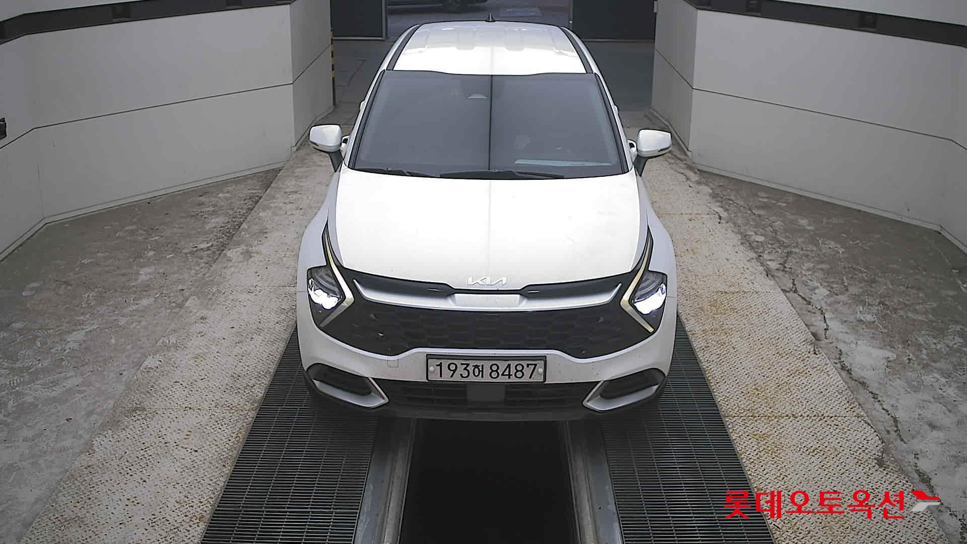 SPORTAGE NQ5 (D) 트렌디