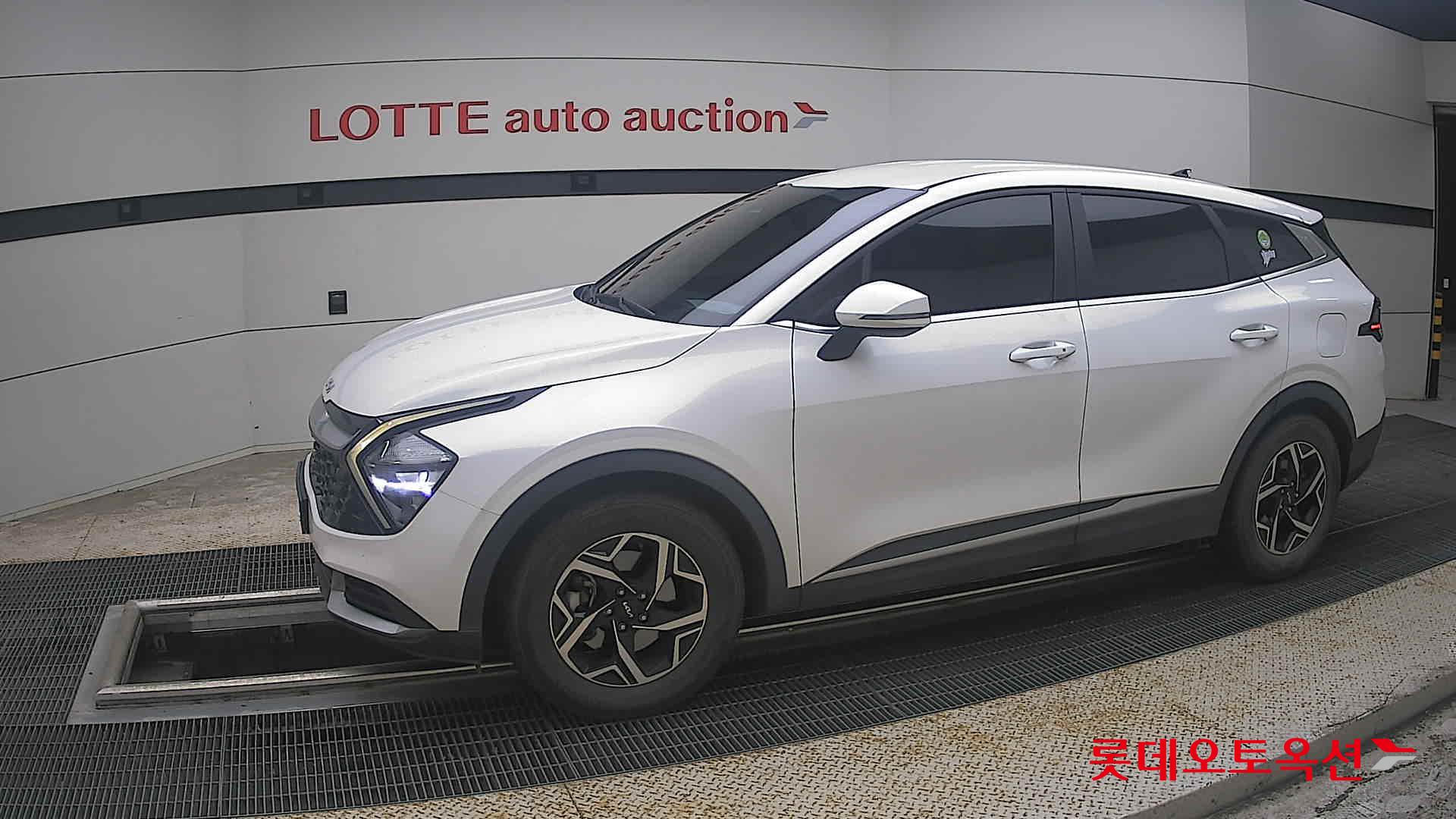 2023 - kia sportage