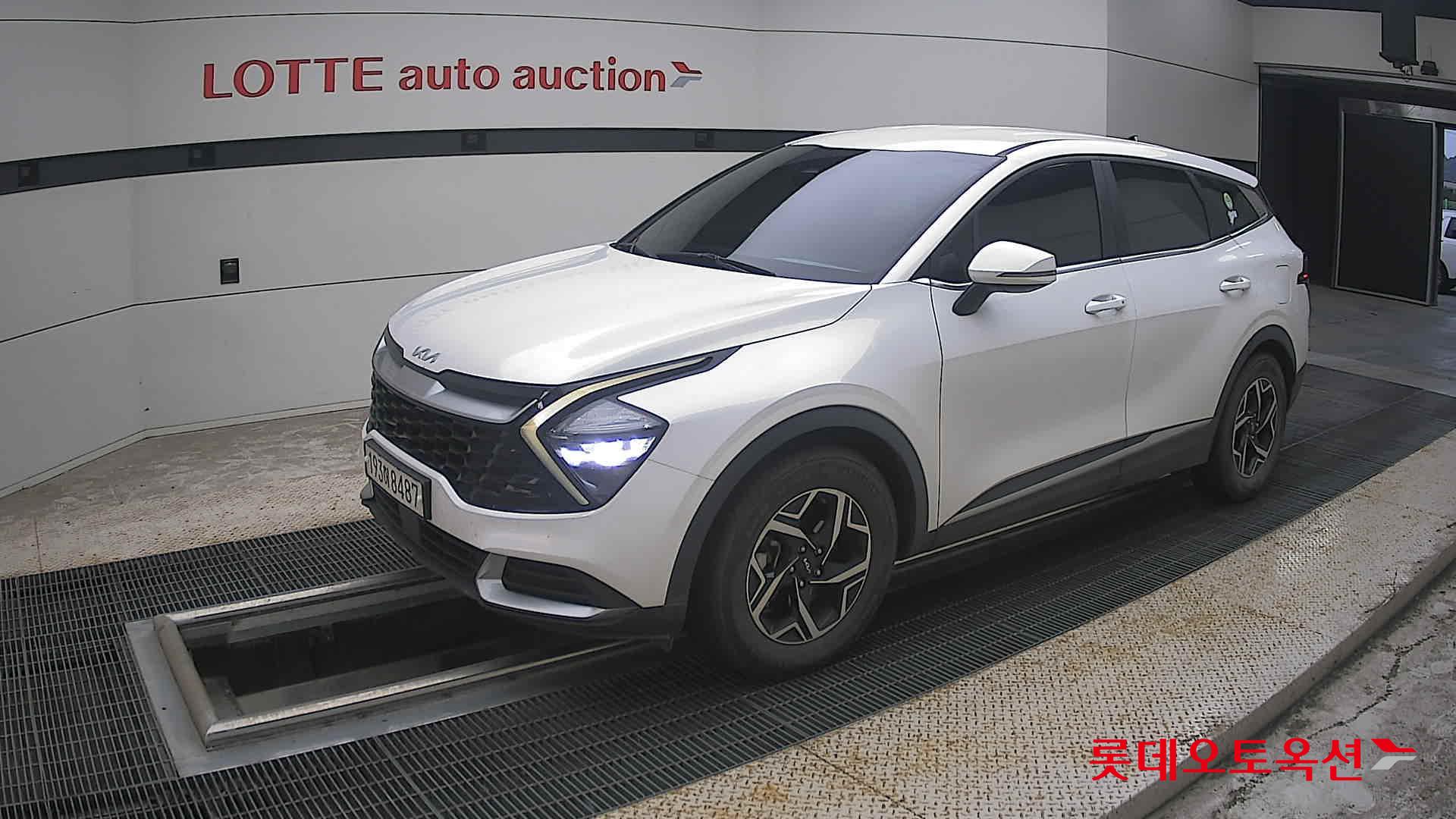 2023 - kia sportage