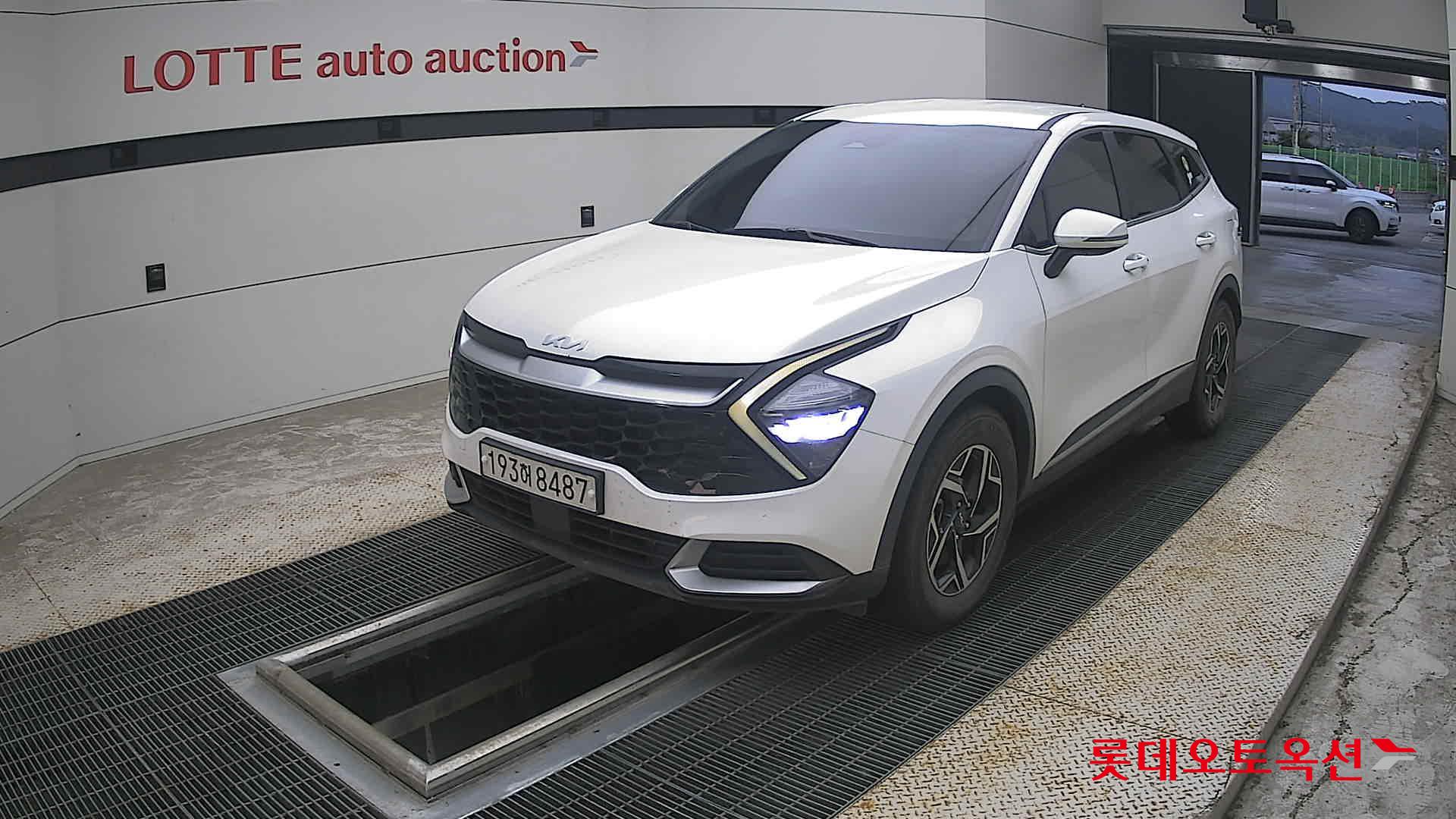 2023 - kia sportage