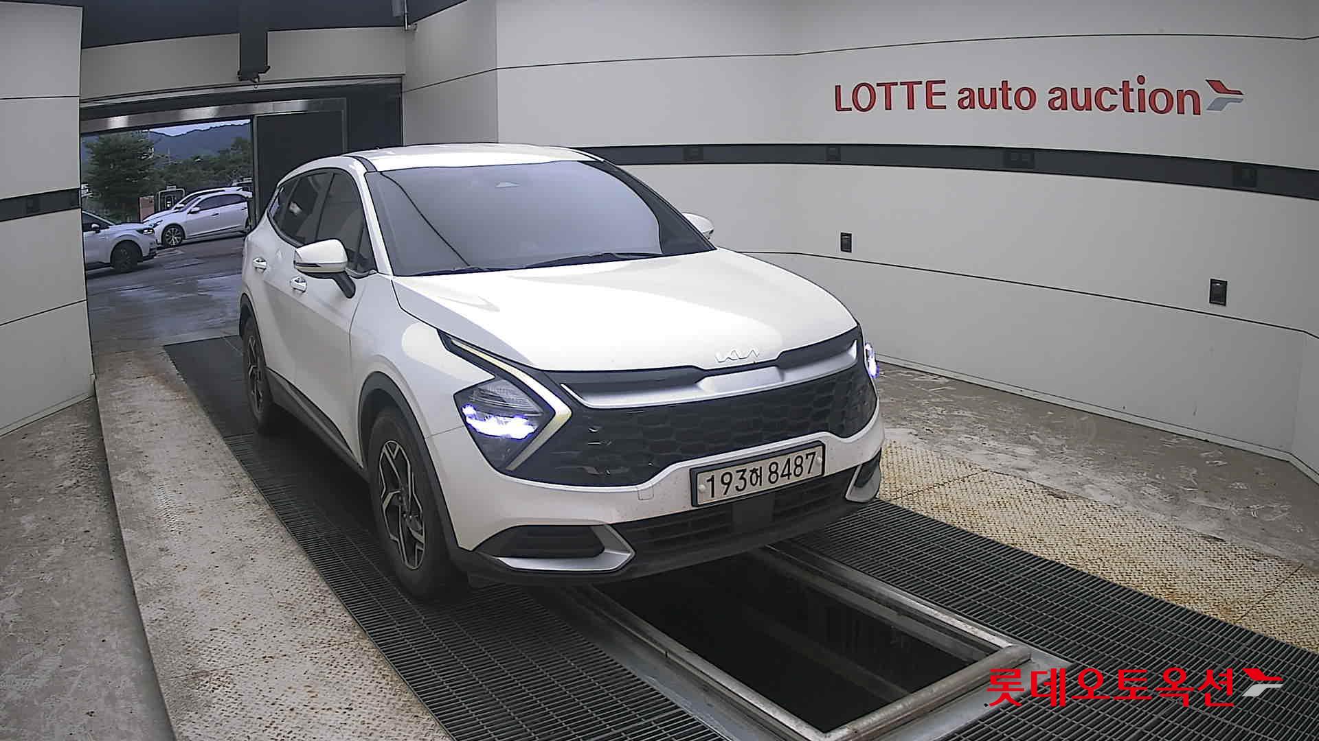 2023 - kia sportage