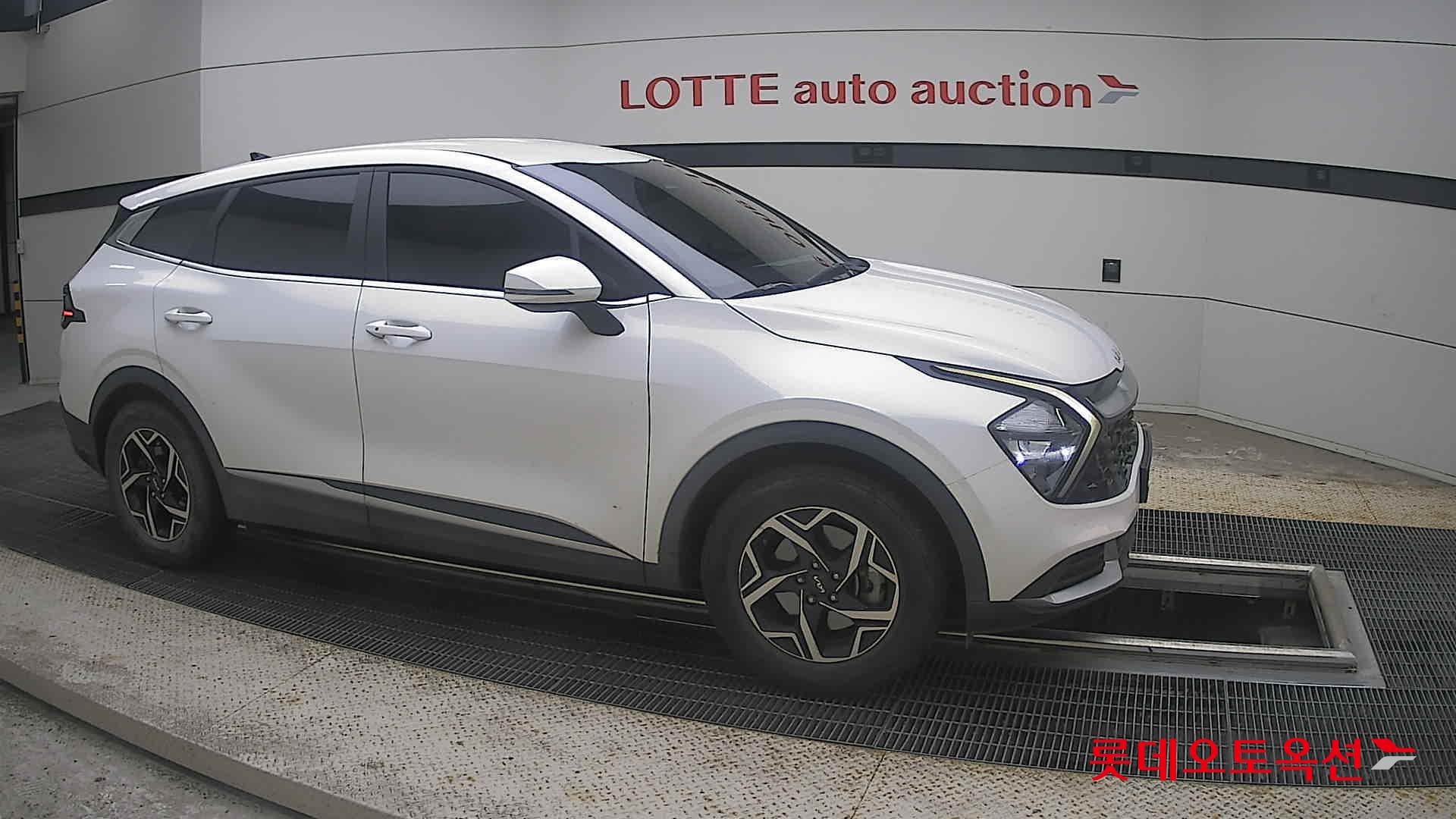 2023 - kia sportage