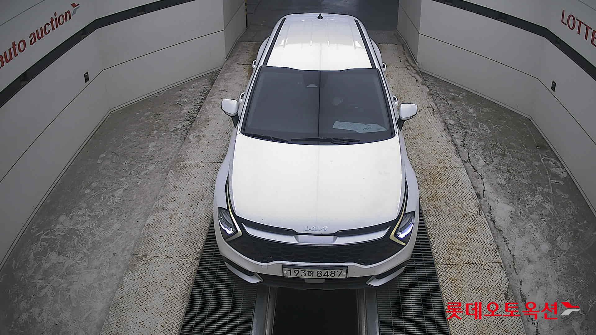 2023 - kia sportage