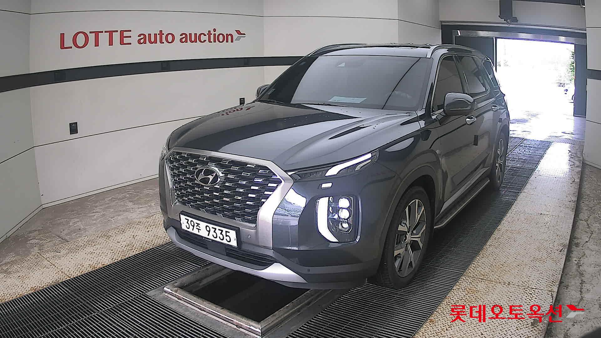 2019 - hyundai palisade