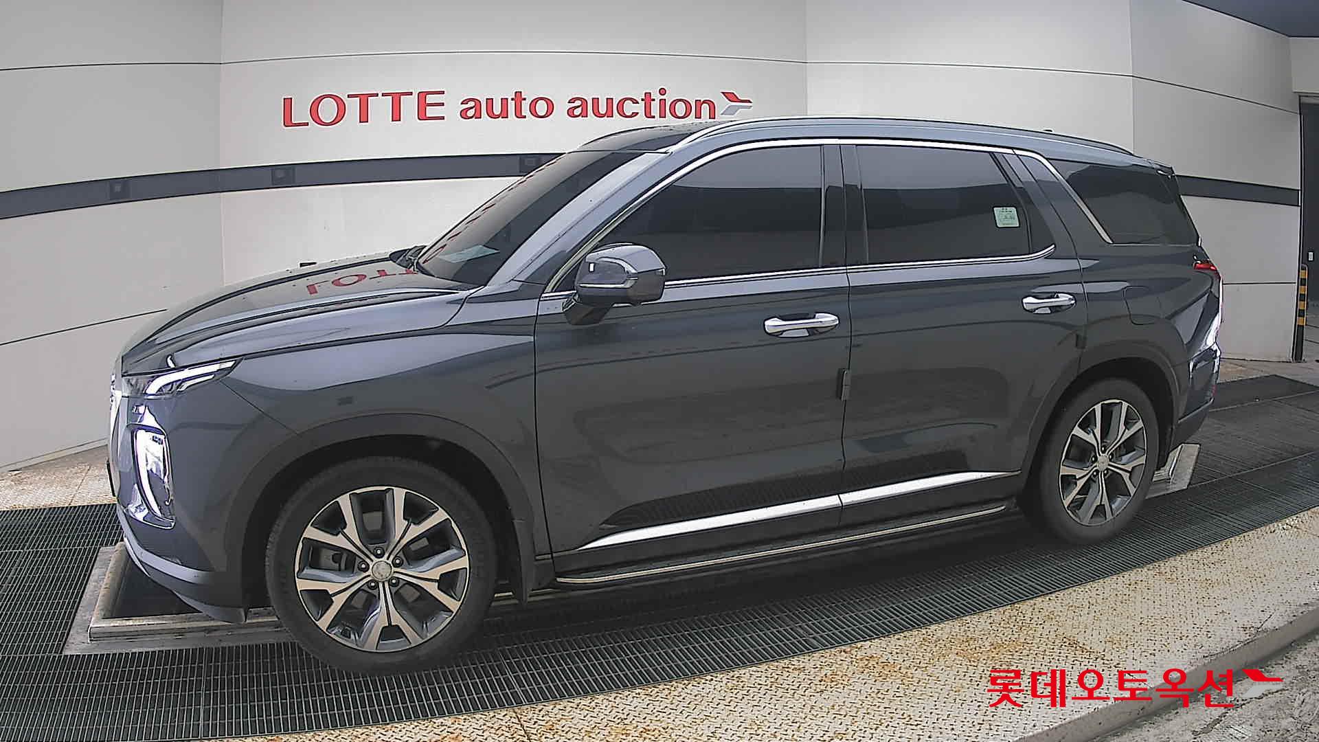2019 - hyundai palisade