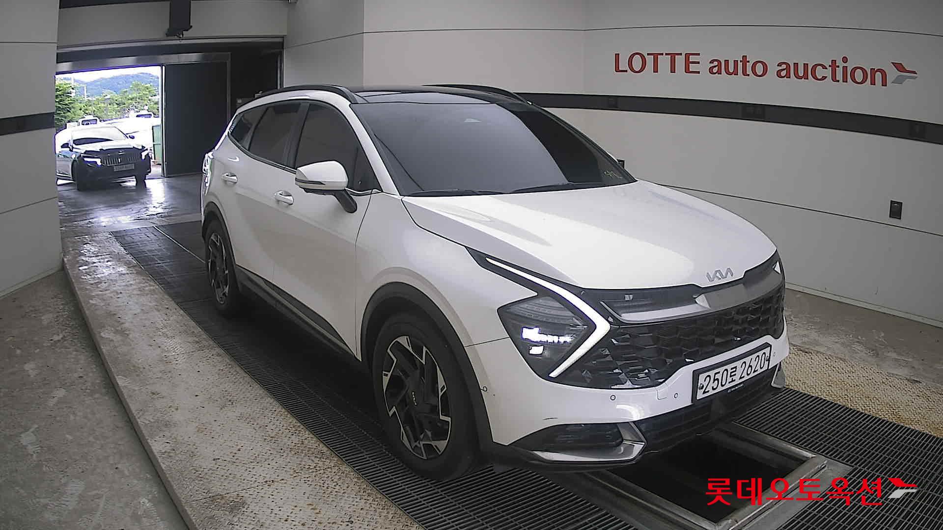 2022 - kia sportage