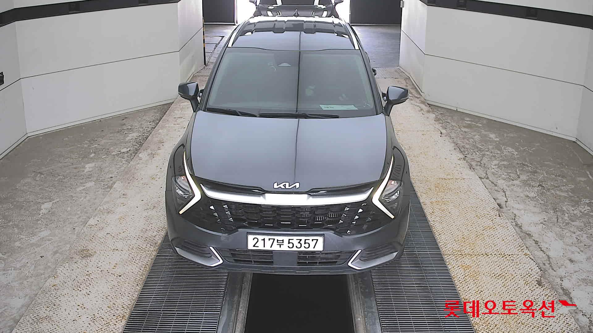 SPORTAGE NQ5 (D)