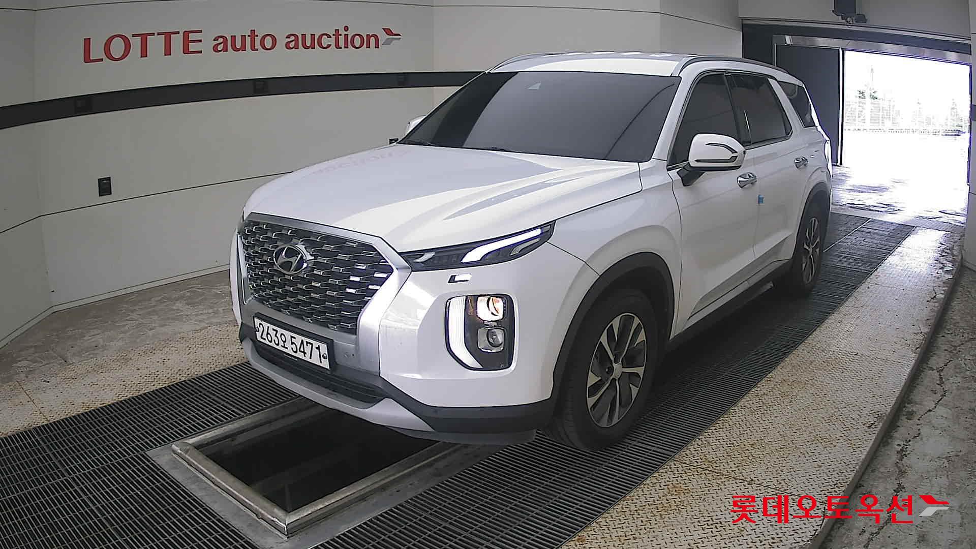 2020 - hyundai palisade
