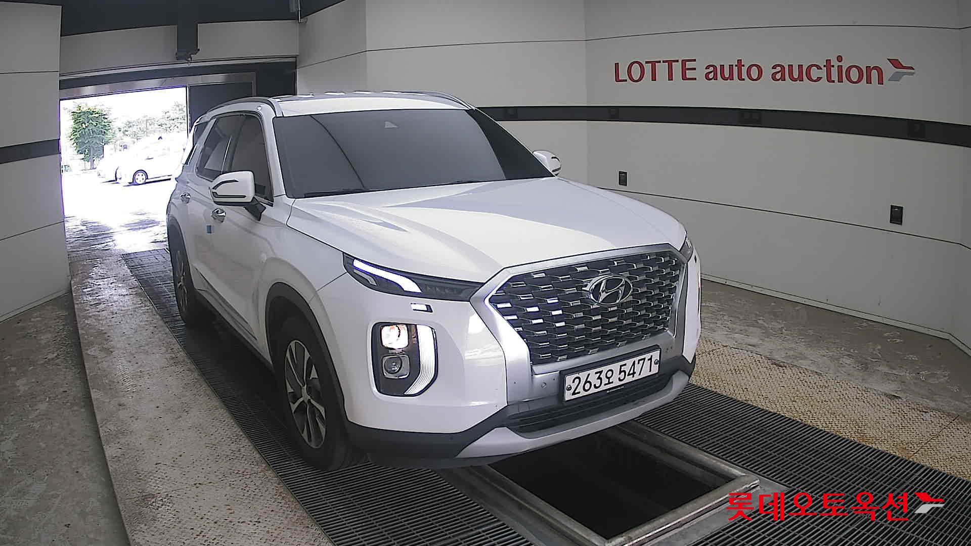 2020 - hyundai palisade
