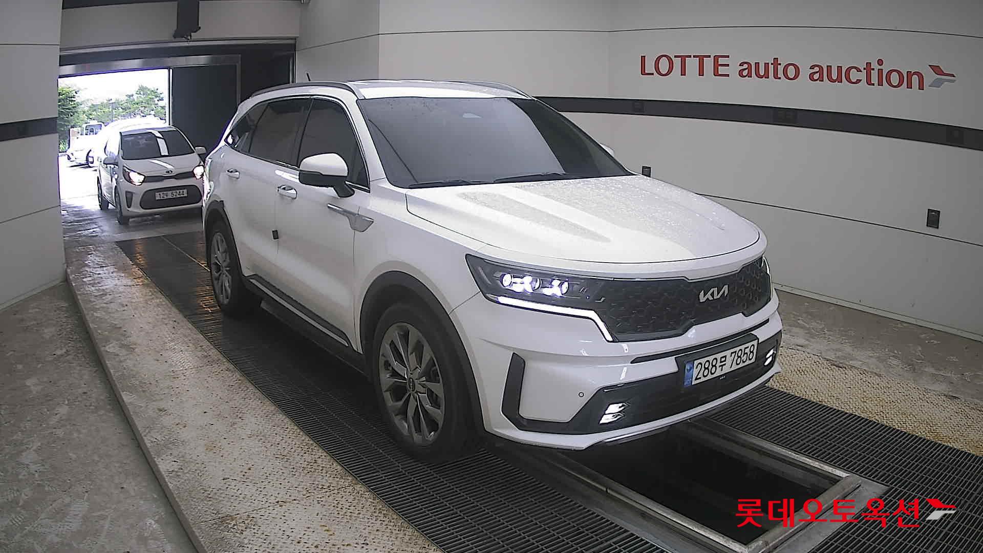 2023 - kia sorento