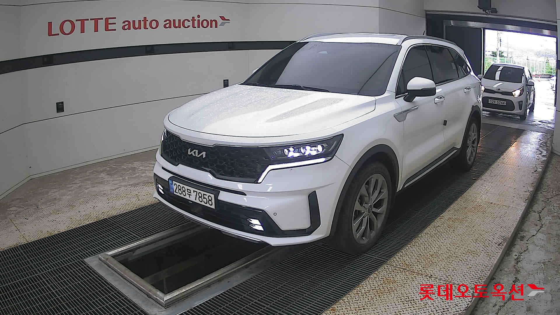 2023 - kia sorento