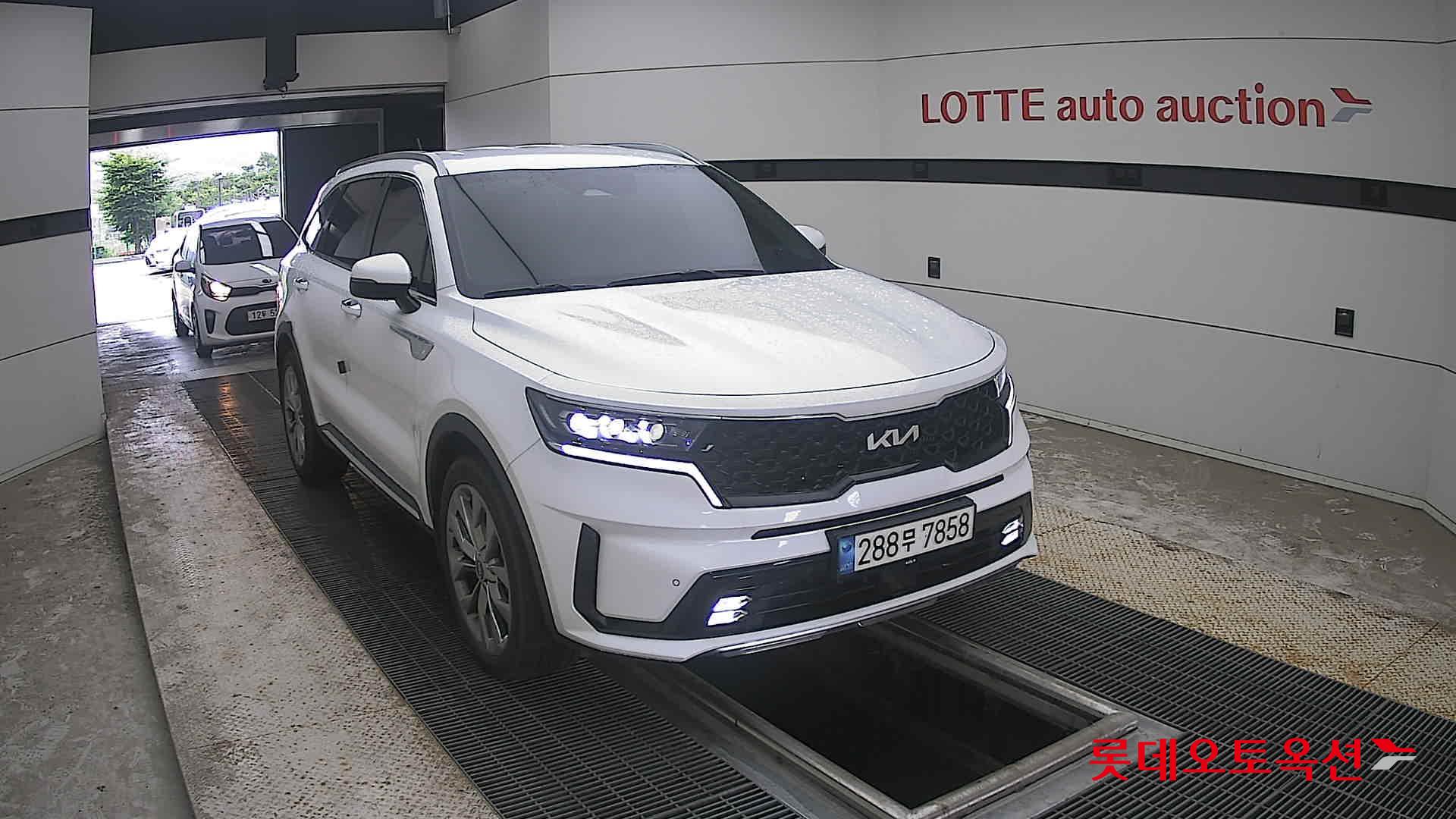 2023 - kia sorento