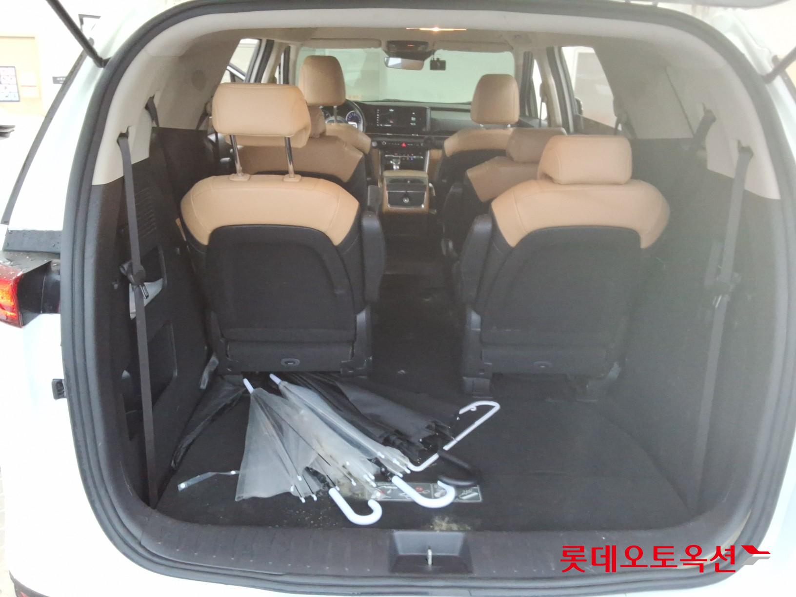 2021 - kia carnival