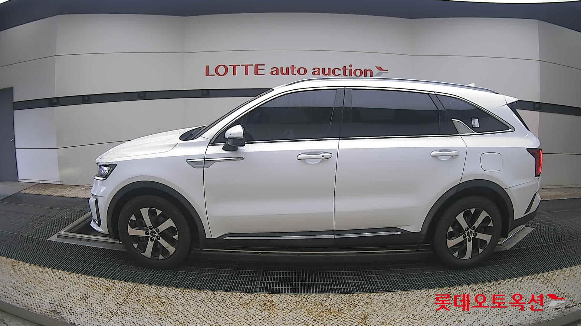 2023 - kia sorento
