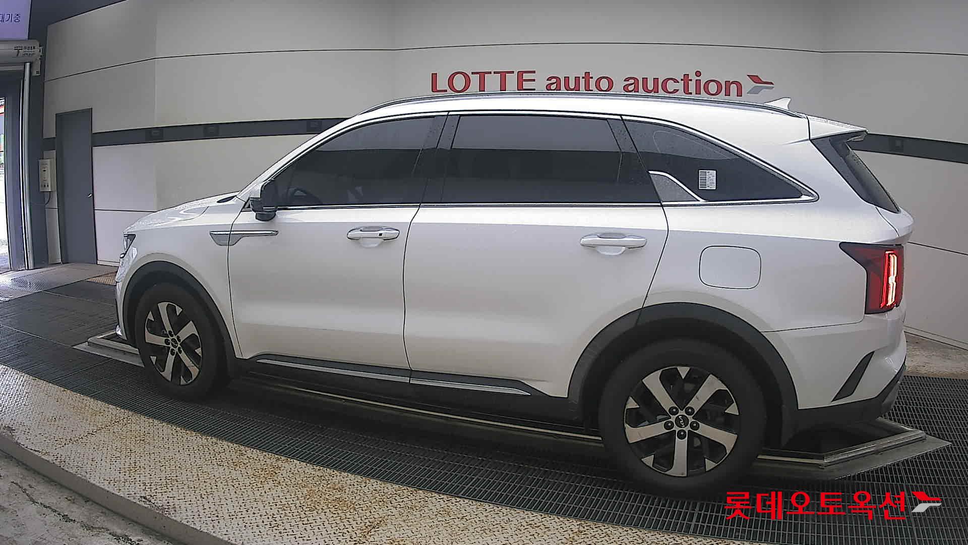 2023 - kia sorento
