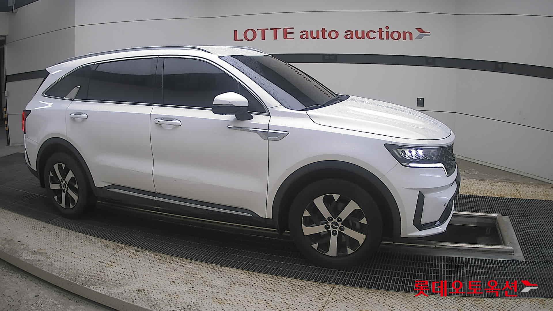 2023 - kia sorento