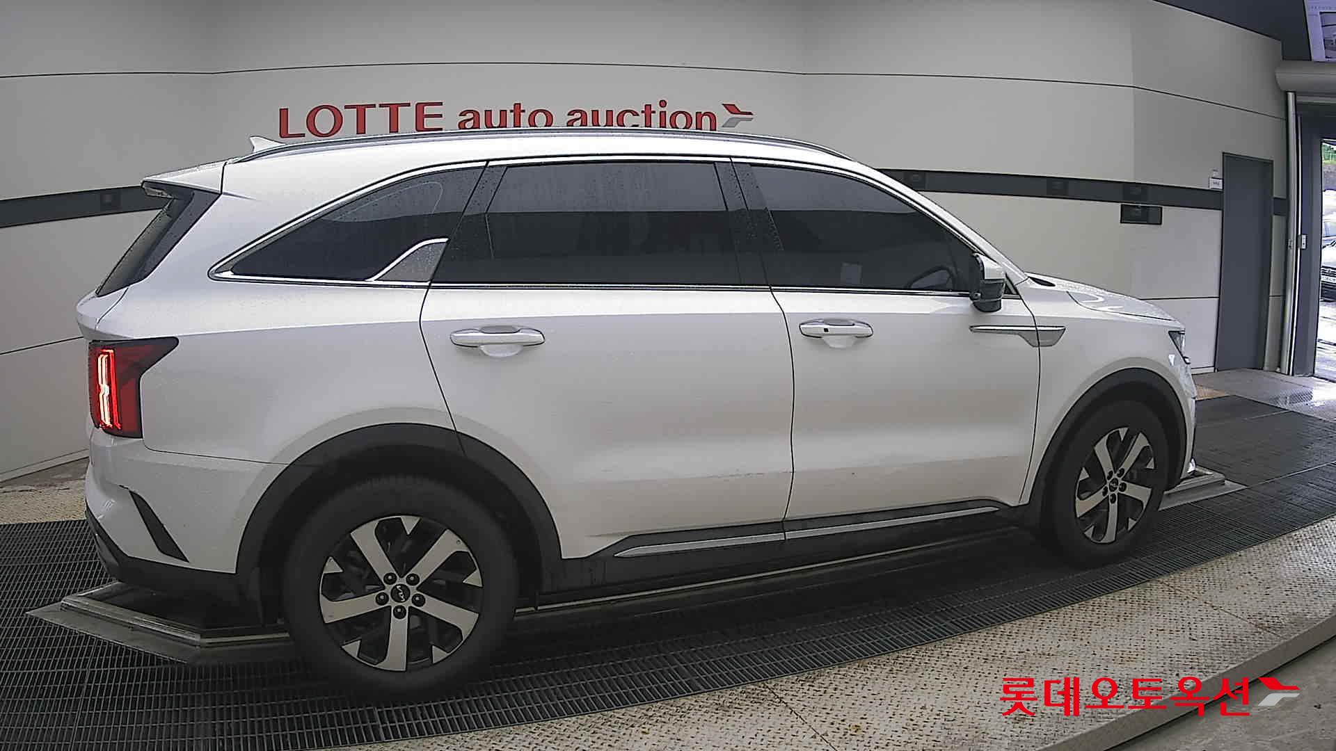 2023 - kia sorento