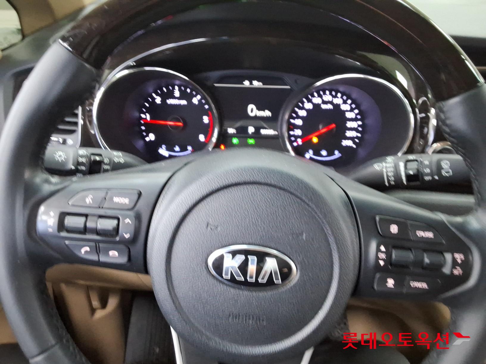 2019 - kia carnival