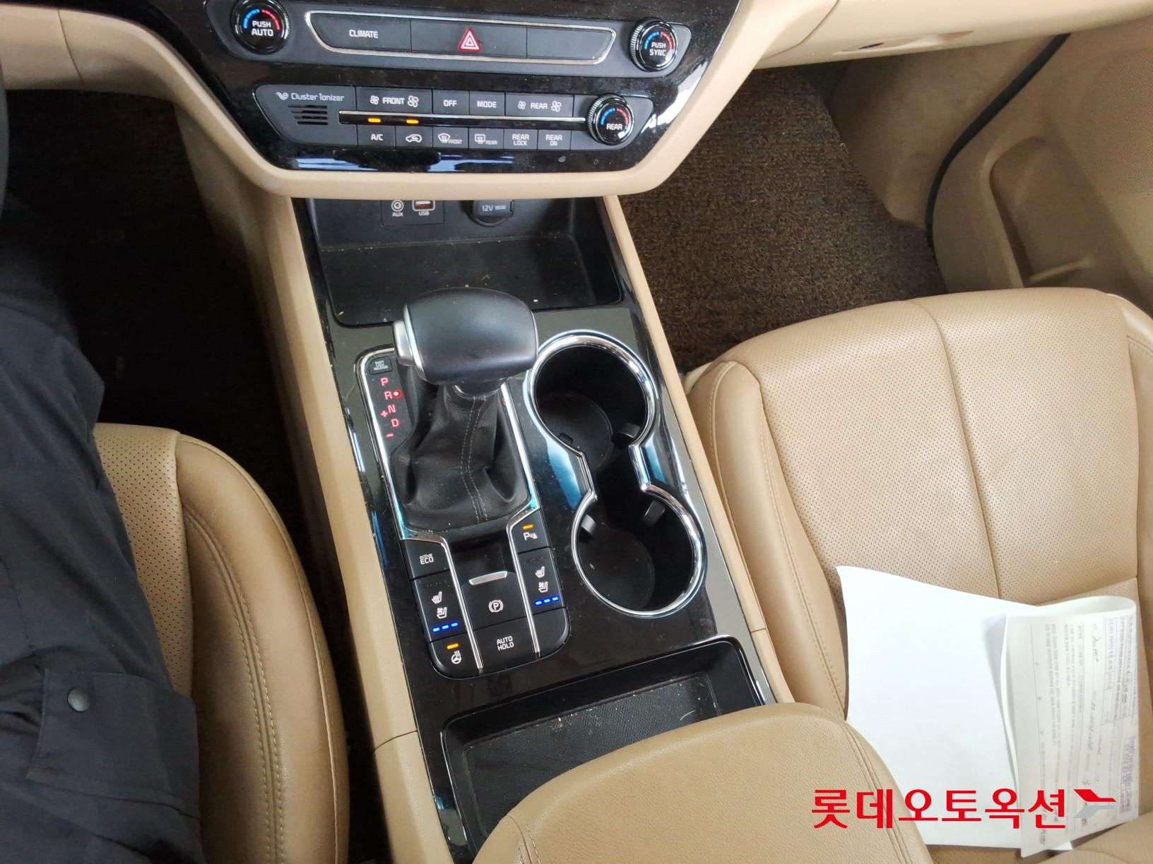 2019 - kia carnival